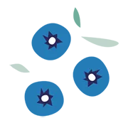 Dehydrated Blueberry Dehydrated Blueberry