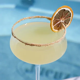 Dried lemon slice - cocktail decoration Dried lemon slice - cocktail decoration